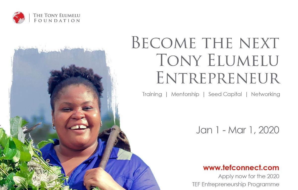 Tony Elumelu Entrepreneurship Programme 2020