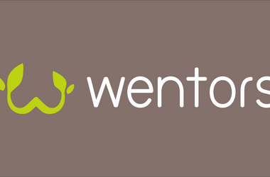 Wentors launches the Tribe Mentorship Program for women of color in technology